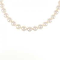 シルバークラスプ アコヤパール ネックレス 7-7.5mm