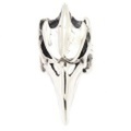 CRAZY PIG DESIGNS(クレイジーピッグ)EVIL BIRD SKULL エヴィルバードスカルリング　#537
