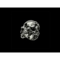 Fuck Around Lewisite(ファックアラウンドルイサイト)　ディストラクションリング FA-R-0041　F.A.L