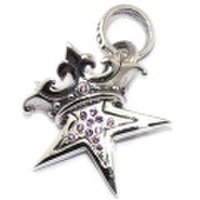 ROYAL ORDER(ロイヤルオーダー) Small Solid Star w/PAVE PURPLE CZ　スモールソリッドスター
