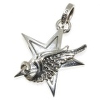 ROYAL ORDER(ロイヤルオーダー) シタデルスターペンダント　Citadel Star SP310-N