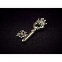 ROYAL ORDER(ロイヤルオーダー)　ラージキーw/クラウンペンダント【トップのみ】　SP04