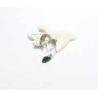 SSJ0013　【稀少】　ガネーシュヒマール産　ヒマラヤ水晶（クローライト）　勾玉