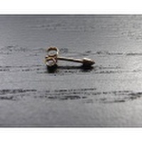 Spike Earring (Kathleen Whitaker) by SOURCE