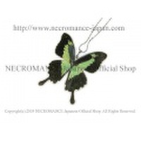 【ネクロマンス NECROMANCE】リアルバタフライウィングネックレス Real Butterfly Wing Necklace ＜フォルカスミドリアゲハ＞ 蝶々 羽