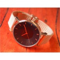 クラス14 KLASSE14 腕時計 MARIO NOBILE VOLARE IRIS VO16RG006W レディース メッシュメタルベルト