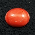 サンゴ ルース (裸石) 1.49ct 【 3月 誕生石 】 ( さんご 珊瑚 コーラル coral 朱色 オーバルカボションカット)