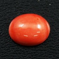サンゴ ルース (裸石) 1.49ct 【 3月 誕生石 】 ( さんご 珊瑚 コーラル coral 朱色 オーバルカボションカット)