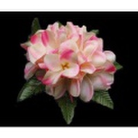 ハワイアンヘアクリップ リアルプルメリアヘアクリップ Lサイズ ピンク