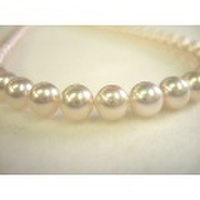 パールNC　アコヤ真珠