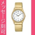名入れ 時計 刻印10文字付 ALBA アルバ 伸縮バンド腕時計 男性用 AQGK440 電池式時計 蛇腹バンド じゃばら 伸び縮み