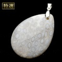 【特選】フォッシルコーラル　ペンダント（sg181802）【メール便可】