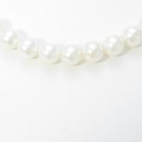 シルバークラスプ アコヤパールネックレス10％引き