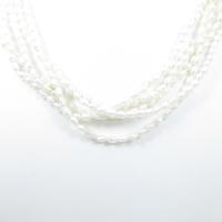 ミキモト タンスイパールネックレス