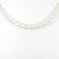 ミキモト アコヤパールネックレス