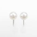 ミキモト アコヤパールイヤリング