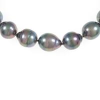 タサキ クロチョウパールネックレス