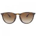 レイバン Ray Ban SUNGLASSES