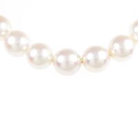 シルバークラスプ アコヤパールネックレス