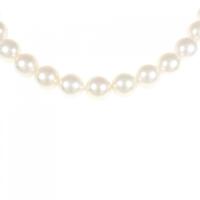 シルバークラスプ アコヤパール ネックレス 8.5?9mm