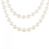 シルバークラスプ アコヤパール ネックレス 8-9mm