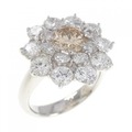 PT フラワー ダイヤモンド リング 0.99CT
