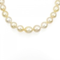 シルバークラスプ 白蝶パール ネックレス 10-14.5mm