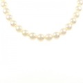 シルバークラスプ アコヤパール ネックレス 8-8.5mm