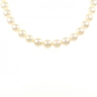 シルバークラスプ アコヤパール ネックレス 8-8.5mm
