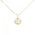 K18YG シェル ネックレス