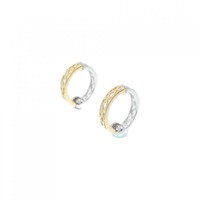 K18YG/K18WG イヤリング