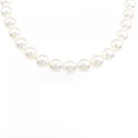シルバークラスプ アコヤパール ネックレス 7.5-8mm