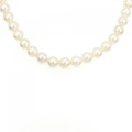 シルバークラスプ アコヤパール ネックレス 7-7.5mm