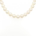 シルバークラスプ アコヤパール ネックレス 9-9.5mm
