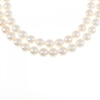 シルバークラスプ アコヤパール ネックレス 7-7.5mm