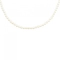 シルバークラスプ アコヤパール ネックレス 3.5-4mm