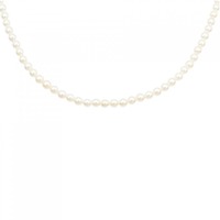 シルバークラスプ アコヤパール ネックレス 3.5-4mm