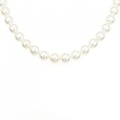 シルバークラスプ アコヤパール ネックレス 8-8.5mm