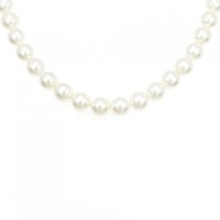 シルバークラスプ アコヤパール ネックレス 8-8.5mm