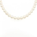 シルバークラスプ パール ネックレス 7.5-8mm