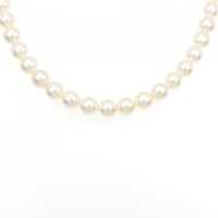 シルバークラスプ パール ネックレス 7.5-8mm