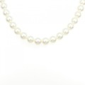シルバークラスプ アコヤパール ネックレス 8-8.5mm
