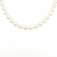 シルバークラスプ アコヤパール ネックレス 8-8.5mm