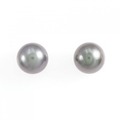 PT 黒蝶パール ピアス 11.1mm