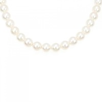 シルバークラスプ アコヤパール ネックレス 8.5-9mm