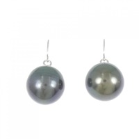 PT 黒蝶パール ピアス 11.5mm