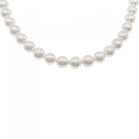 シルバークラスプ アコヤパール ネックレス 7.5-8mm