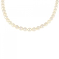 シルバークラスプ アコヤパール ネックレス 5.5-6mm