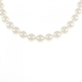 シルバークラスプ アコヤパール ネックレス 7.5-8mm
