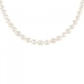シルバークラスプ アコヤパール ネックレス 5.5-6mm